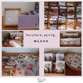 micco